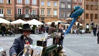 MVI_0820.avi
