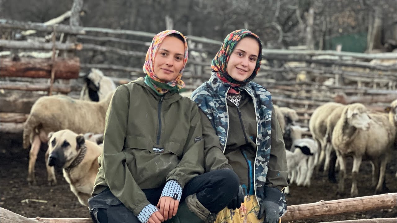 ÇİFTLİKTE ACEMİ YENİ İŞCİLER.. 🧑‍🌾BESİCİ&ÇİFTÇİLER