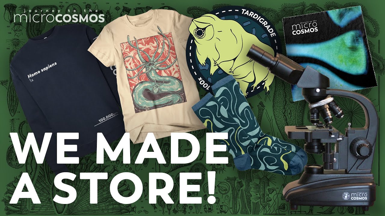 We Made A Store!