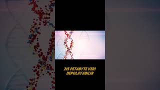 Biliyor Muydun? Dnanın Gizemli Düzeni