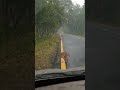 Monkeys love the weekend too 🙈 #monkey #youtubeshorts #nature #india #trending #viral #videos #assam