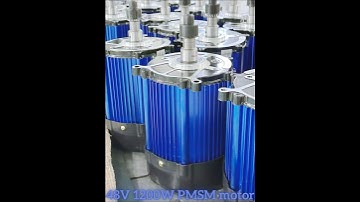 High-Performance Electric Rickshaw Motor 1200W #autorickshaw #erickshaw #controller #bldc #pmsm