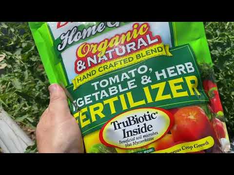 Organic Fertilizer At Lowes