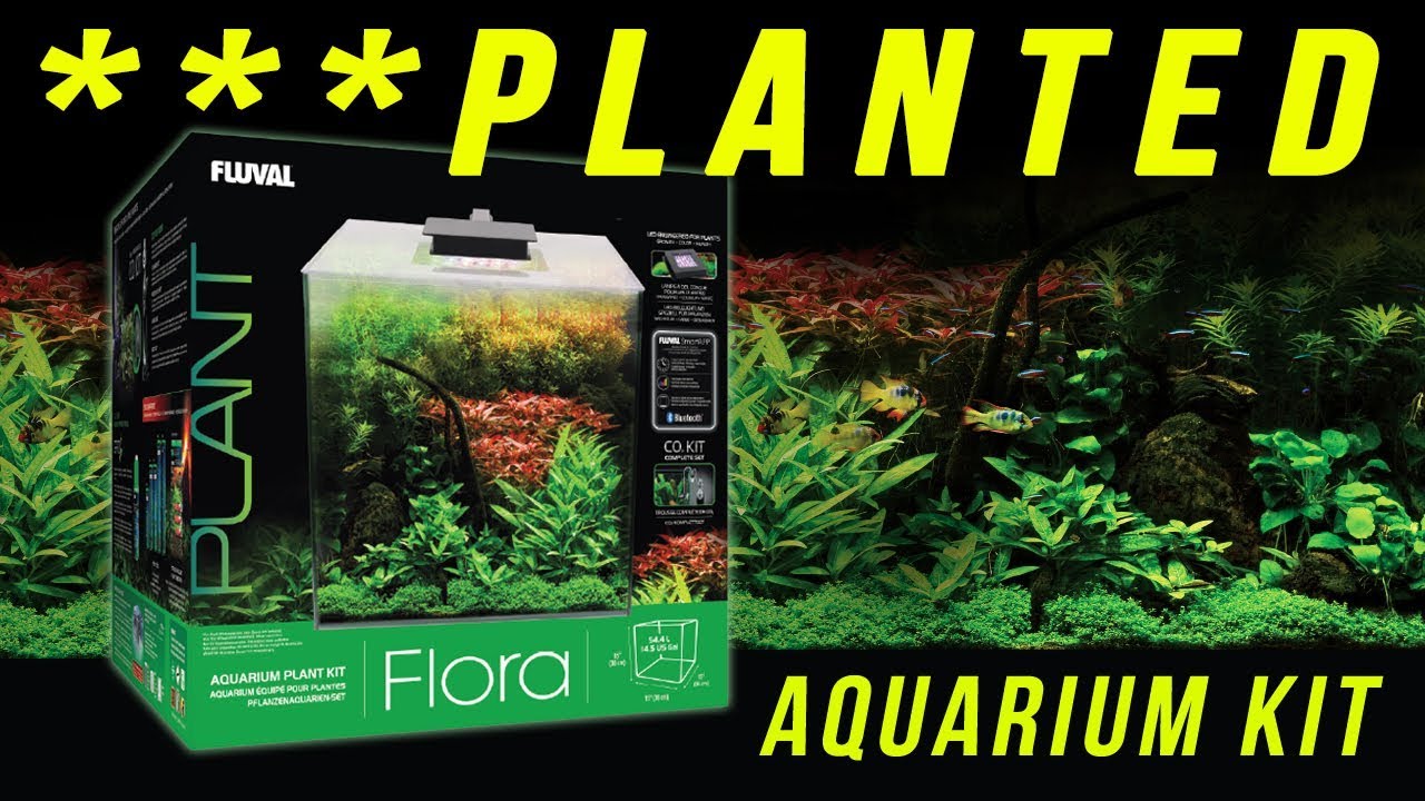 Fluval Flora Planted Aquarium Kit - YouTube