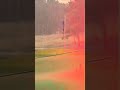 Lightning Strikes at the 2026 U.S. Women's Amateur
