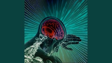 Slave to the Algorithm