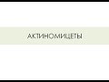 АКТИНОМИЦЕТЫ. Actinomyces israelii