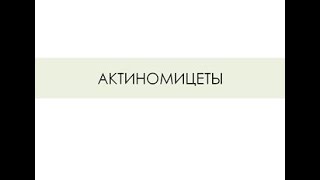 АКТИНОМИЦЕТЫ. Actinomyces israelii