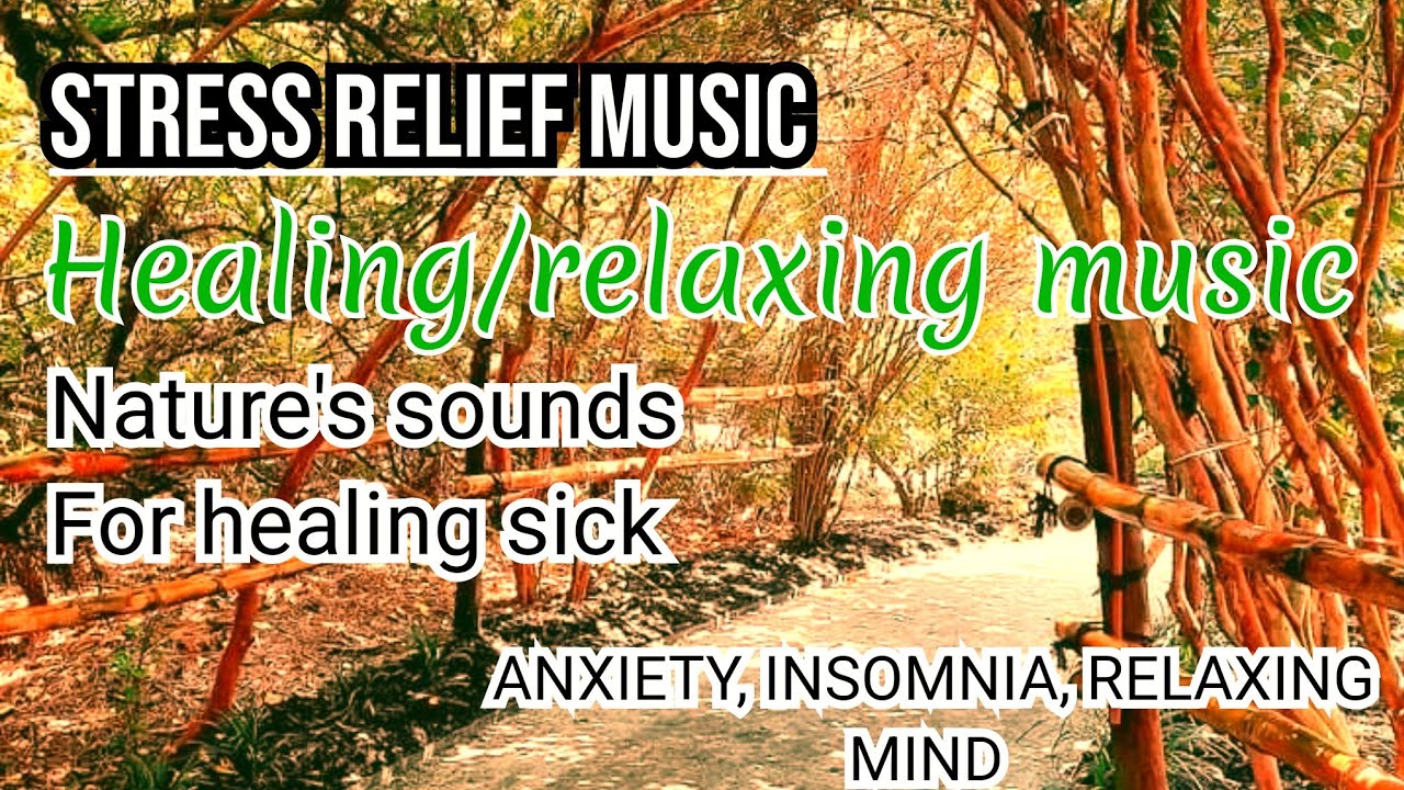 Meditation healing music for Cancer,heart problems,rain,river,birds
