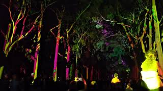 EverNow - Boorna Waanginy - The Trees Speak - Kings Park, Perth Western Australia 7th October 2023