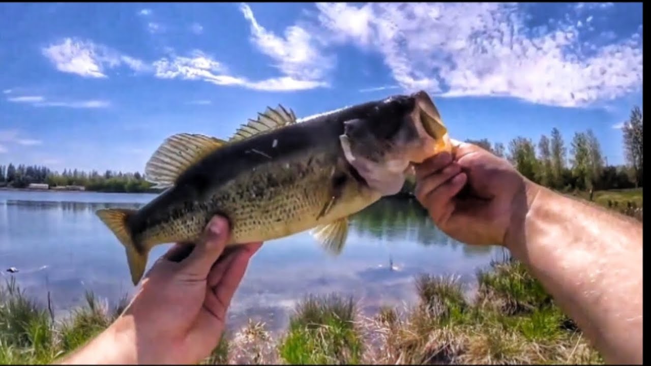 Quarry Fishing BIG Crappie and Bass! YouTube