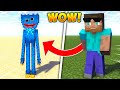 Minecraft But I can CUSTOM SHAPESHIFT...