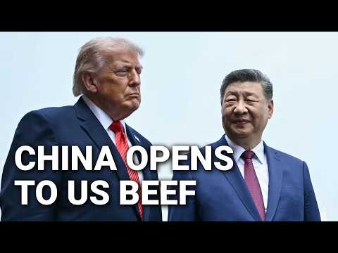 China reopens to U.S. beef — what that means | Cattle Market Talk May 15th, 2026