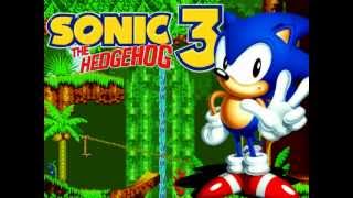 ♫Sonic the Hedgehog 3 & Knuckles OST ~ Continue♫