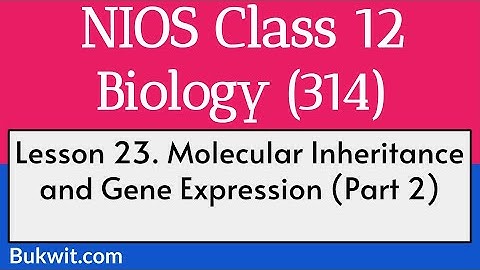 NIOS Class 12 Biology (314): Lesson 23. Molecular Inheritance and Gene Expression (Part 2)