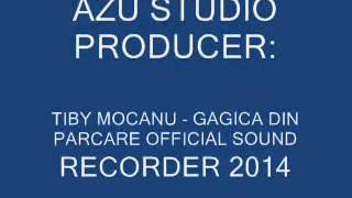Tiby Mocanu - Gagica din parcare 2014