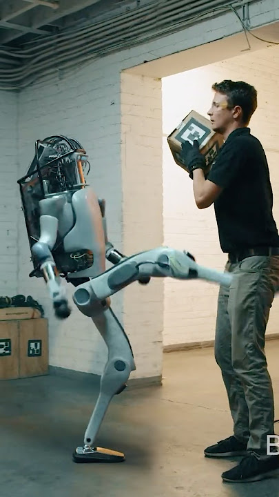 Ai Robot FIGHTS BACK