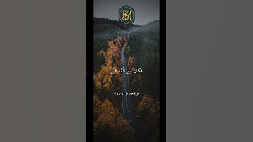❤️ وَنَادَى نُوحٌ ابْنَهُ وَكَانَ فِي مَعْزِلٍ يَا بُنَيَّ ## ماهر المعيقلي ## تلاوة خاشعة ارح سمعك