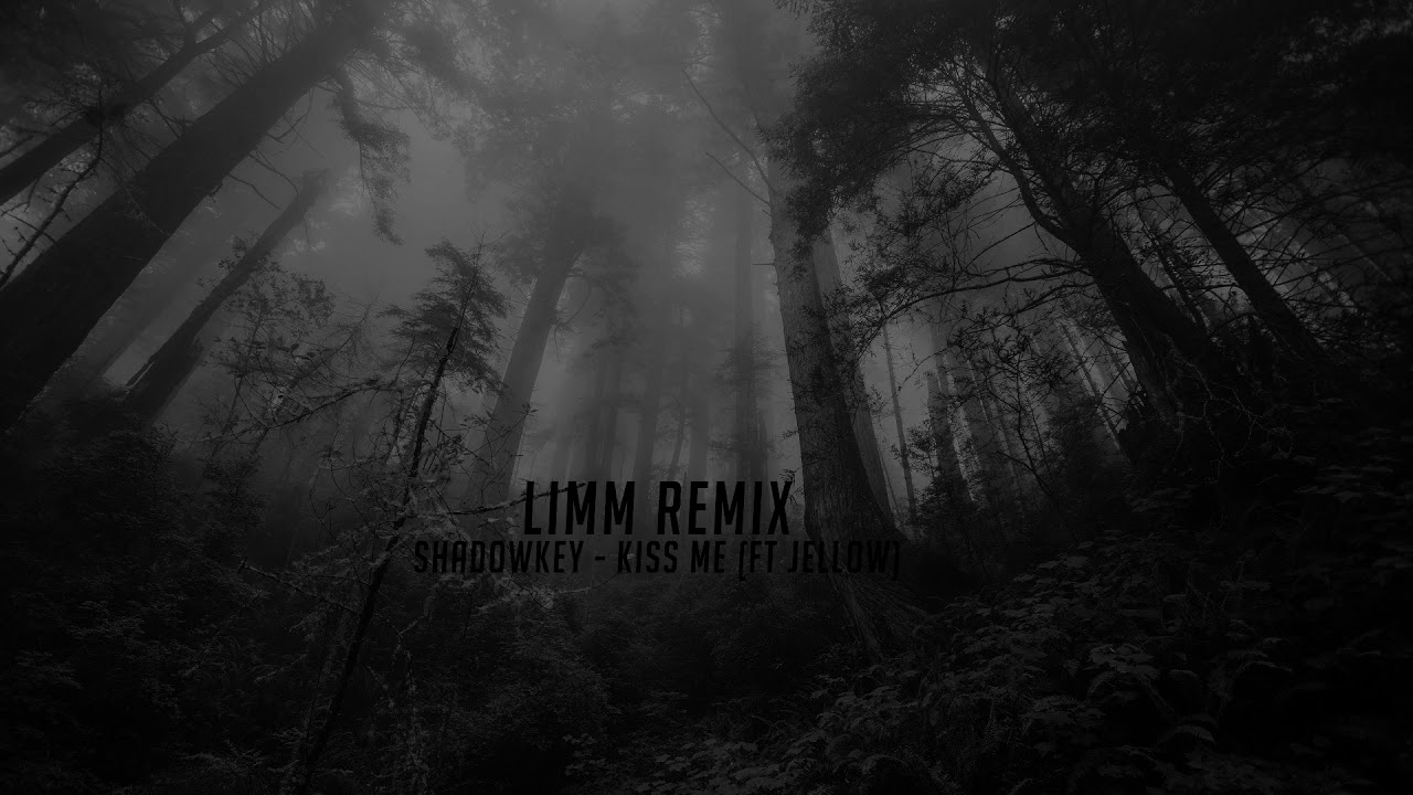 Shadowkey - Kiss Me ft Jellow (LIMM REMIX)