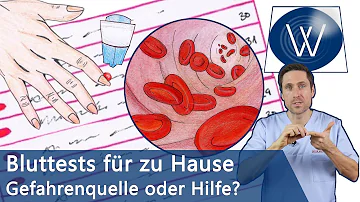 Wann kommt Bluttest raus?