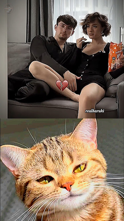 dangerous movement 🤣💀 #cat #meme #dance #trending
