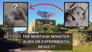 The Montauk Experiments: Monster, Time Travel, Mind Control and More...