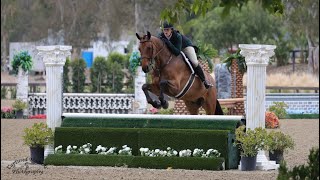 Children’s hunter classic scoring a 80 