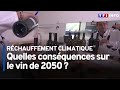 Rchauffement climatique  quelles consquences sur le vin de 2050 