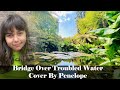 Bridge Over Troubled Water  Cover By Penelope