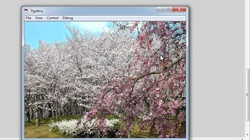 Flash CS 6 Tutorial : Auto Advancing Picture Gallery with a Fade -in effect