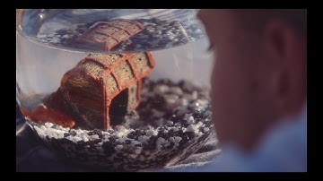 Dylan Dunlap - Follow My Echo (Official Video)