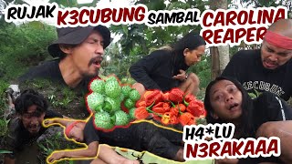 Rujak K3CUBUN6 Sambel CAROLINA REAPER sama Tarzan @dedeinoen8868  H4LU N3R4KAAA