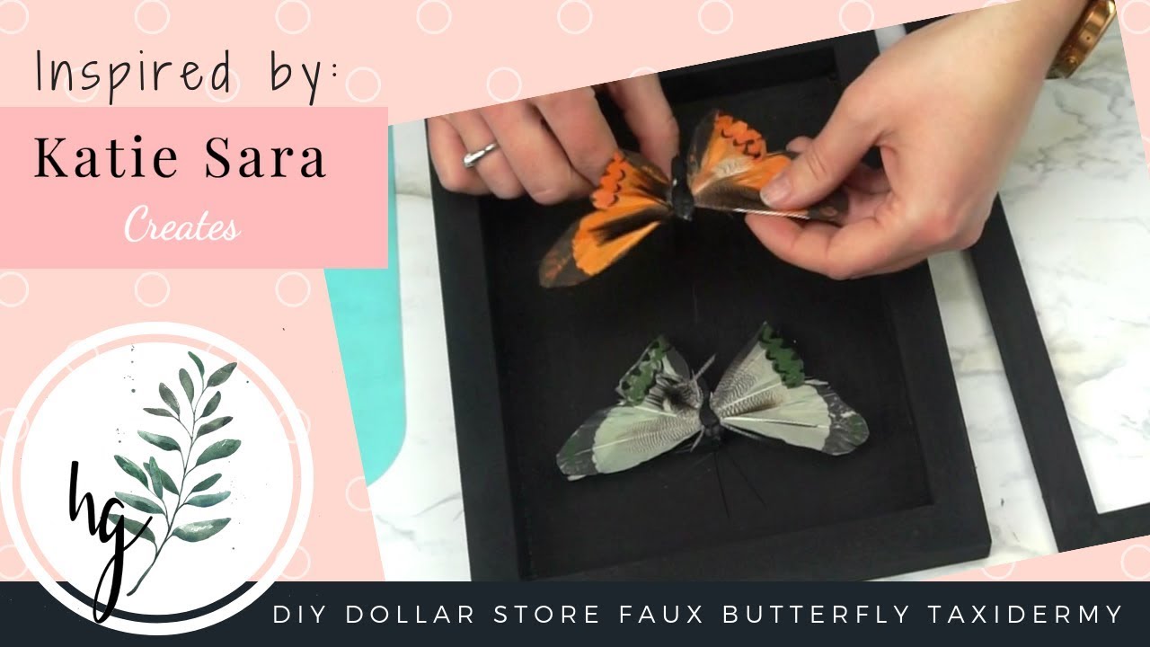 How To Make Faux Butterfly Taxidermy 