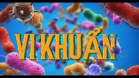 KHTN 6 - Vi khuẩn! Bạn hay thù - Bacteria! Friend or Foe? - biology video - PNCaudio