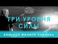 Три уровня силы. Епископ Филипп Савочка