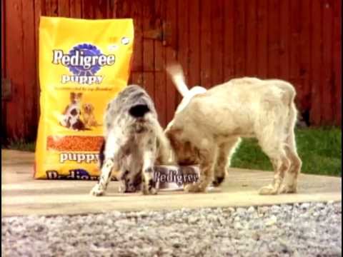 PEDIGREE "Puppy Food" :30