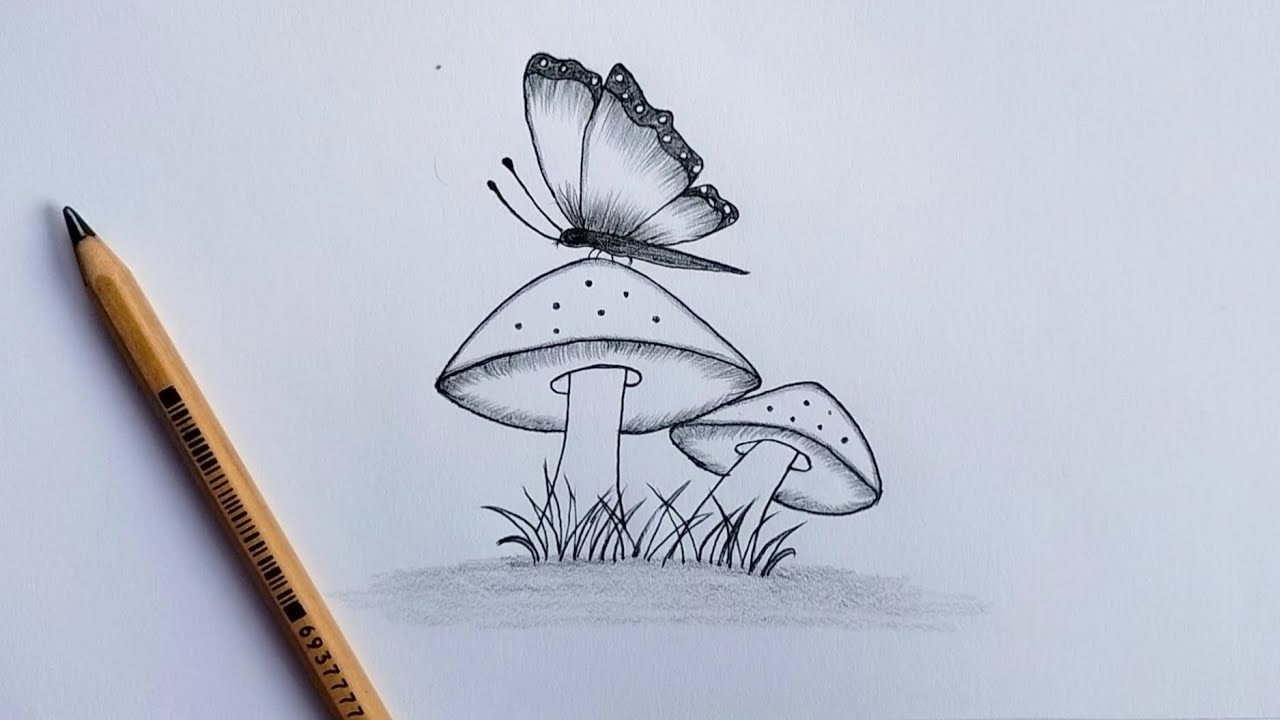 toadstool butterfly pencil  Pencil drawings for beginners