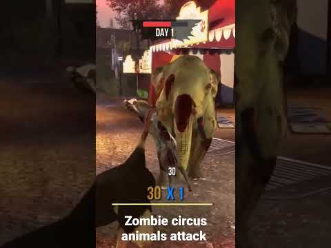 Saada etuja Pelata Kasinoa Verkossa Goatzin kasinopromoodilla - Selaa nyt!