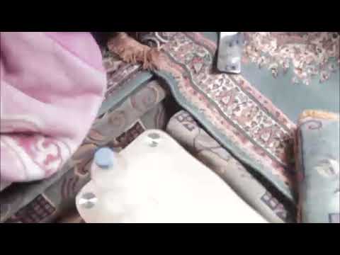 الولد الزري