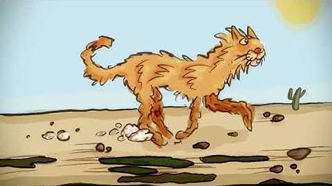 "Protocat" Hand drawn rotoscoped animation - ipad Procreate