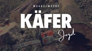 Mit Stihl 462 & 261 auf Käferjagd