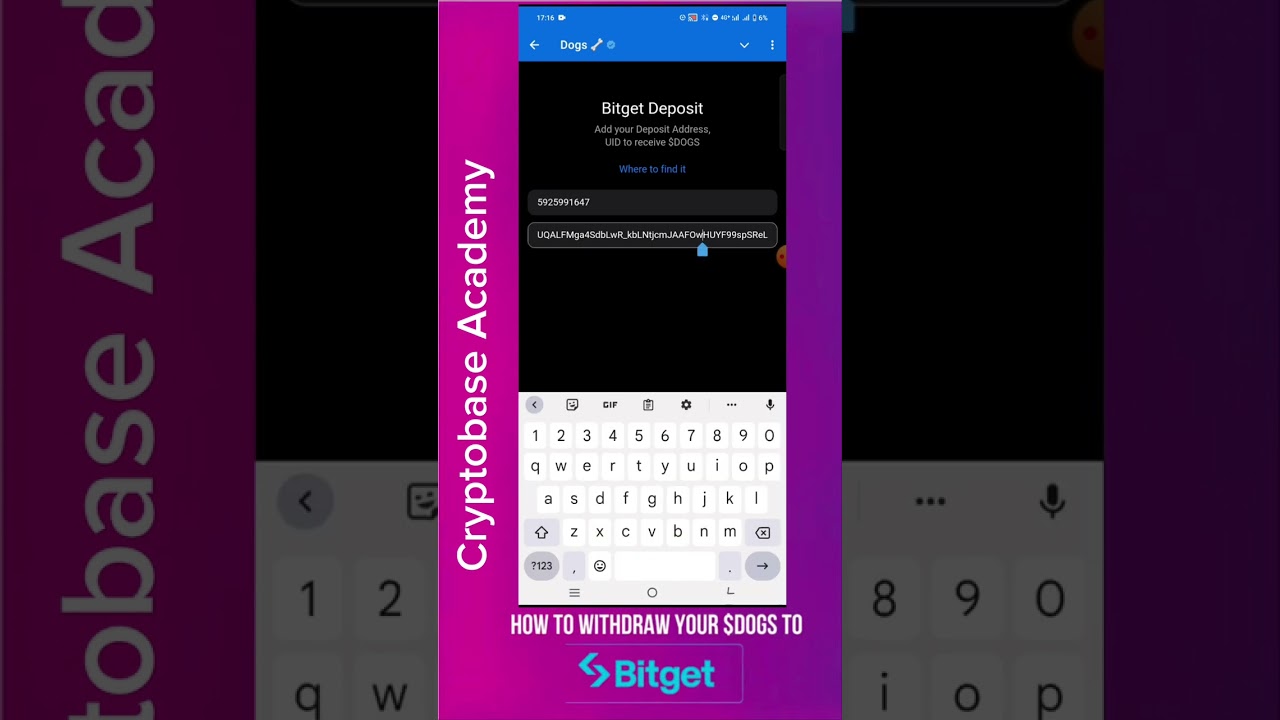 How to Withdraw DOGS to Bitget Exchange | Step-by-Step Guide