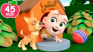 Bingo Song | Newborn Version | Newborn Baby Songs & Nursery Rhymes