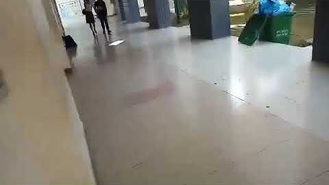 Tập thể 7C thcs cát lái xin kỉ niệm nửa năm 💝💝💝💝