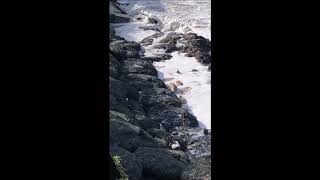 Wamberal Beach Erosion Protection Using Kyowa Rock Bags