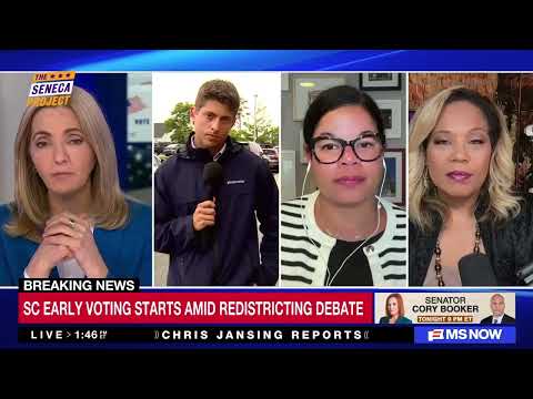 “They’re Trying to Disenfranchise Black Voters” — Tara Setmayer