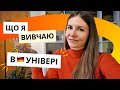 Які предмети вивчають бізнес психологи в університеті Німеччини. Мої предмети на магістратурі