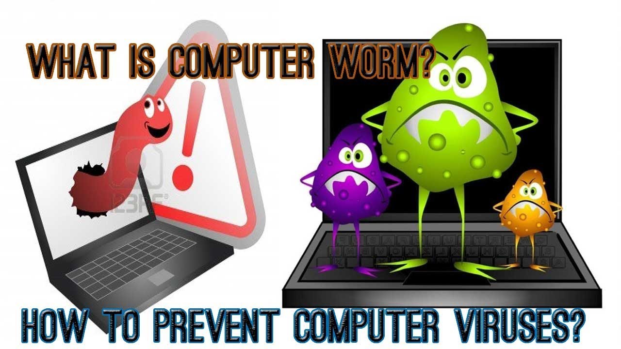 What Is Computer Worm In Urdu Hindi 2018 How To Prevent Computer