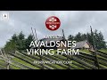 Avaldsnes viking farm karmy  where the real vikings lived  norwaycation