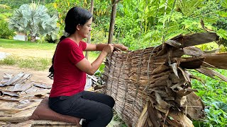 Da bananeira tudo se aproveita, nossa rotina de cultivo sustentável de bananas